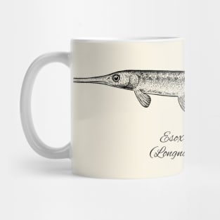 ESOX OSSEUS Mug